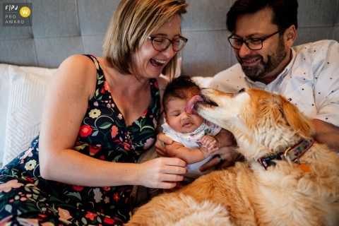 Photographie de famille documentaire de Boston d'un chien léchant un bébé pendant que ses parents regardent