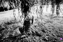 Schwarzweiss-Familien-Fotoshooting im Dokumentarfilmstil der NL im Freien mit einem Mädchen, das im Baum schwingt