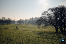 In North Yorkshire, England, a family strolls through a park at sunrise in a distant scene-setter shot, softly silhouetted against the tranquil morning light.