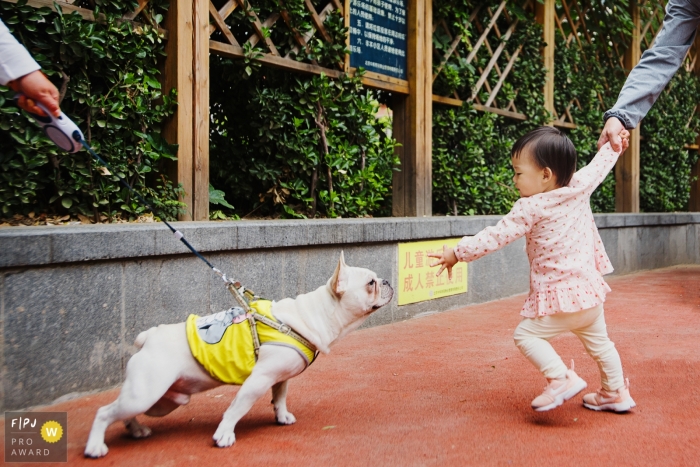 Photo by: <a href="https://www.fpja.com/documentary-family-photography-contests/moana-wu/shanghai/2061531">Moana Wu - China</a> A dog and a little girl both try to reach each other in this FPJA award-winning image captured by a Shanghai, China family photographer.