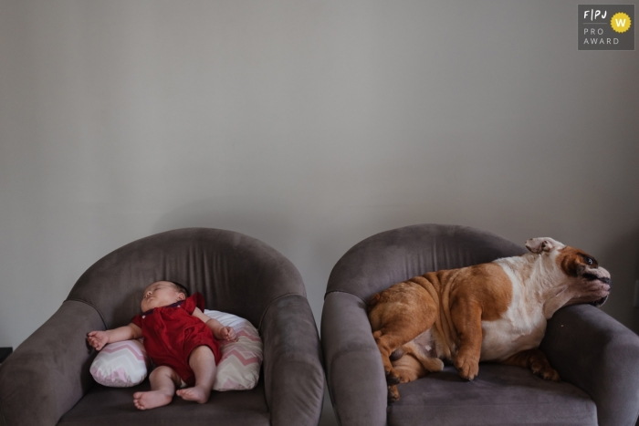 Photo by: <a href="https://www.fpja.com/documentary-family-photography-contests/emanuelle-rigoni/cuiab%C3%A1/2067756">Emanuelle Rigoni - Brazil</a> A dog and baby both sleep next to each other on two separate chairs in this photo by a Recife award-winning family photographer.