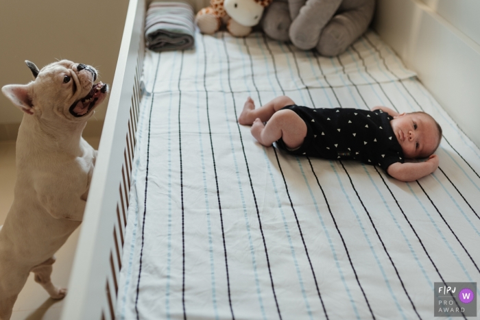 Photo by: <a href="https://www.fpja.com/documentary-family-photography-contests/emanuelle-rigoni/cuiab%C3%A1/2067766">Emanuelle Rigoni - Brazil</a> A dog tries to get a peek at the baby laying in the crib in this photograph created by a Recife family photojournalist.