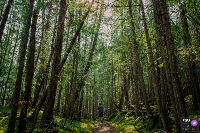 Photo by: <a href="https://www.fpja.com/documentary-family-photography-contests/bobbi-barbarich/british-columbia/2076626">Bobbi Barbarich - Canada</a> A young boy walks on a path through a forest in this photo by a British Columbia family photographer