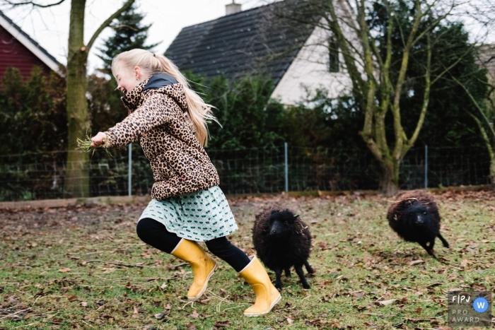 Photo by: <a href="https://www.fpja.com/documentary-family-photography-contests/annemarie-rikkers/gelderland/2077696">Annemarie Rikkers - Netherlands</a> A girl runs as she is chased by two black sheep in this photo by a Gelderland family photographer.