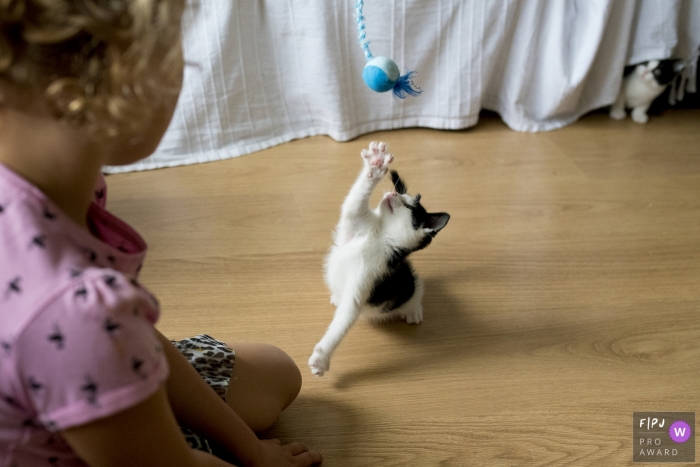 Une petite fille regarde un chaton jouer avec un jouet dans cette photo récompensée par une photo d'un photographe de famille documentaire hollandais.