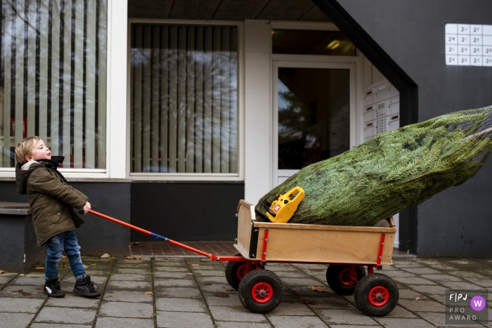Photo by: <a href="https://www.fpja.com/documentary-family-photography-contests/gonda-meurs/noord-holland/2081541">Gonda Meurs - Netherlands</a> A little boy tries to pull a pine tree in his cart in this FPJA award-winning picture by a Holland family photographer.
