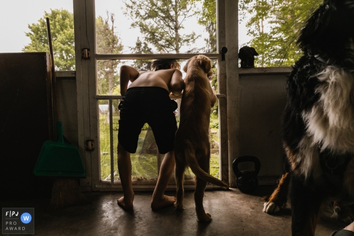 This photo of a young boy and his dog staring out of a screen door was captured by a Pittsburgh documentary family photographer