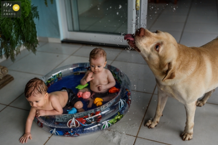 Photo by: <a href="https://www.fpja.com/documentary-family-photography-contests/emanuelle-rigoni/recife/2092416">Emanuelle Rigoni - Brazil</a> A dog drinks from a hose while two little boys play in a kiddie pool in this family picture by a Recife photographer.