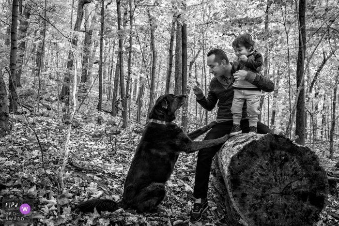 A father holds his son on top of a log while telling his dog to sit in this award-winning photo by a Montreal, Quebec family photographer.