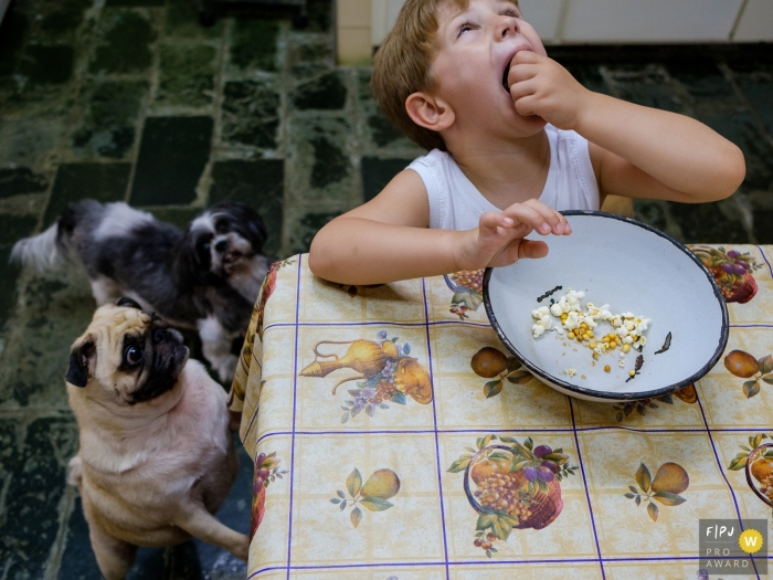 Two dogs watch excitedly as a little boy eats popcorn in this family picture by a Sao Paulo, Brazil photographer. 