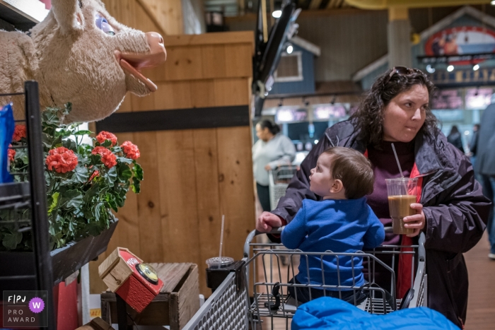 Un petit garçon lève les yeux vers un cochon animatronique alors qu'il est assis dans un chariot d'épicerie dans cette image primée du FPJA, capturée par un photographe de la famille du Connecticut.