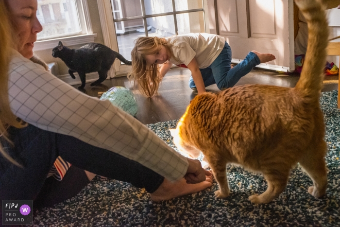 Photo by: <a href="https://www.fpja.com/documentary-family-photography-contests/annie-bang/los-angeles/2098316">Annie Bang - United States</a> A mother and daughter play with their two cats in this image created by a Los Angeles, CA family photographer.