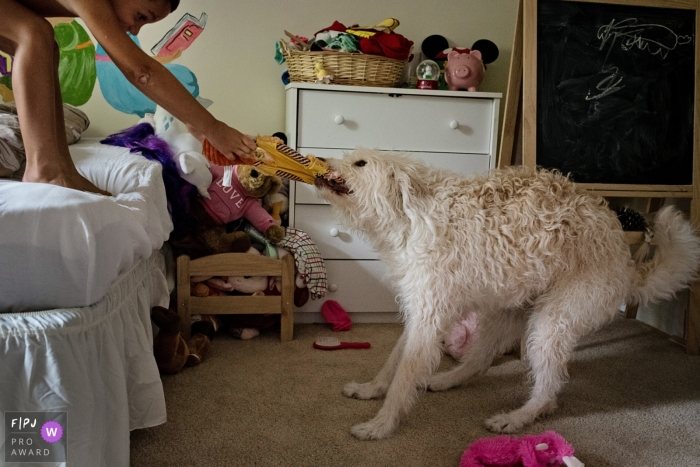 A child tries to take a toy back from the dog in this photo by a Key West, FL award-winning family photographer. 