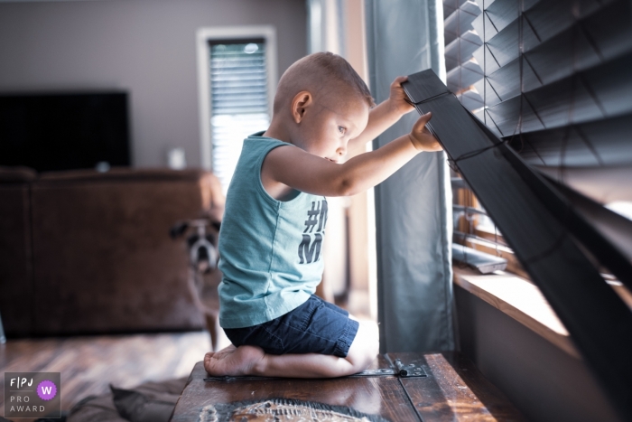 New Jersey family phojournalism - Kid looking out window with his dog nearby.