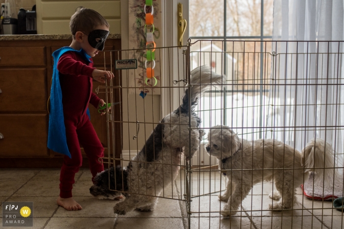 A young boy, dressed as a superhero, opens the dogs' crate and they come bounding out, thanks to their savior. - Connecticut family photography