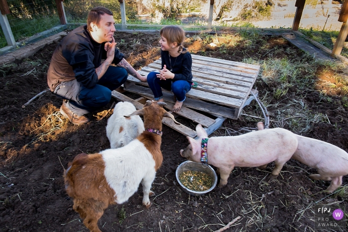 Photo by: <a href="https://www.fpja.com/documentary-family-photography-contests/chris-shum/san-francisco/2100675">Chris Shum - United States</a> California Family Photojournalism - Fun time in the little farm wiht pigs, goats and kids.