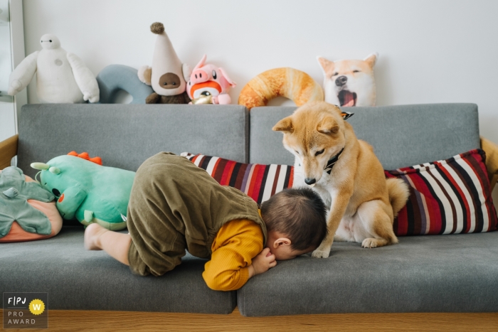 Photo by: <a href="https://www.fpja.com/documentary-family-photography-contests/nina-chiang/hangzhou-city/2101316">Nina Chiang - China</a> Hangzhou City Family Photos | The children are tired and kneel in front of the dog.