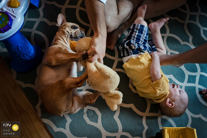 Boy and dog playing with parents during Day In The Life photography session in Key West