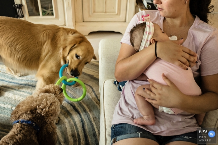 Photo by: <a href="https://www.fpja.com/documentary-family-photography-contests/julie-ambos/key-west/2102703">Julie Ambos - United States</a> Florida family pet and infant photography - Dogs playing while baby is sleeping