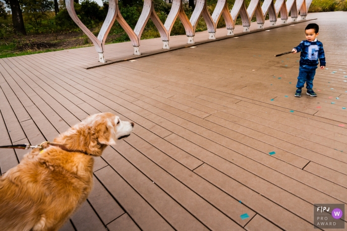 Chicago young man directing a dog on a leash to stay back with his wand.