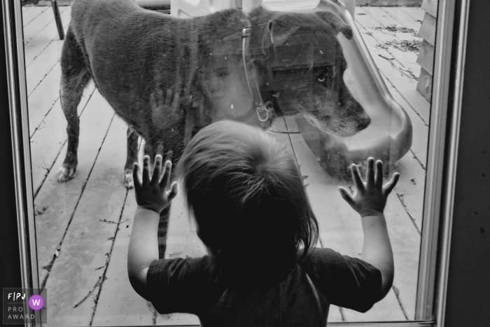 Chicago child looking out the window at the family pet, their dog