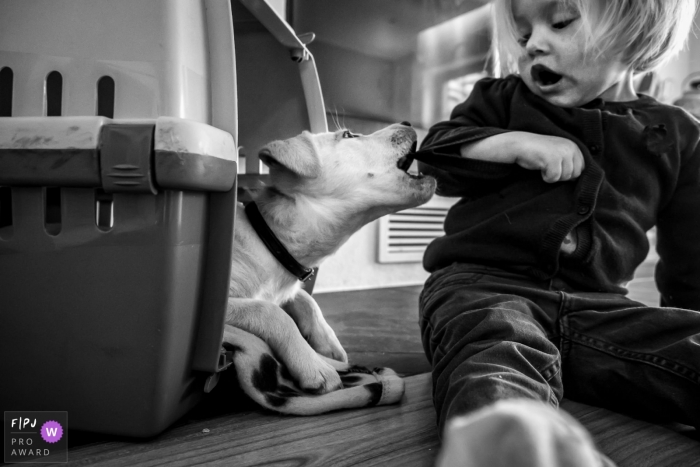 Photo by: <a href="https://www.fpja.com/documentary-family-photography-contests/katrin-k%C3%BCllenberg/dusseldorf/2107604">Katrin Küllenberg - Germany</a> Dusseldorf Documentary family image of a dog taking a little nip at the young toddler