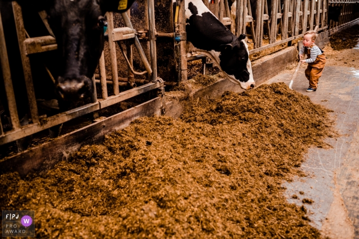 NL documentary-style family photography working session of young boy shoveling silage for the cows