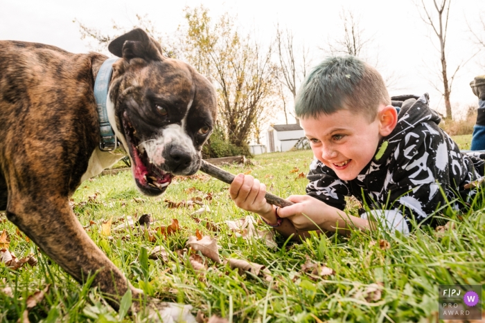 Kingston boy and dog playing with a stick in this Ontario family photo Kingston boy and dog playing with a stick in this Ontario family photo
