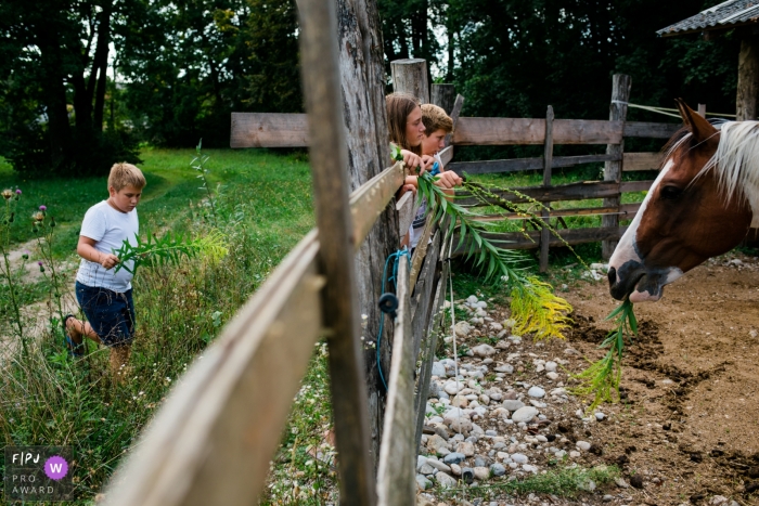 Photo by: <a href="https://www.fpja.com/documentary-family-photography-contests/polona-avanzo/ljubljana/2108819">Polona Avanzo - Slovenia</a> Slovenia farm life documentary-style family photography session of children standing at a fence feeding a horse