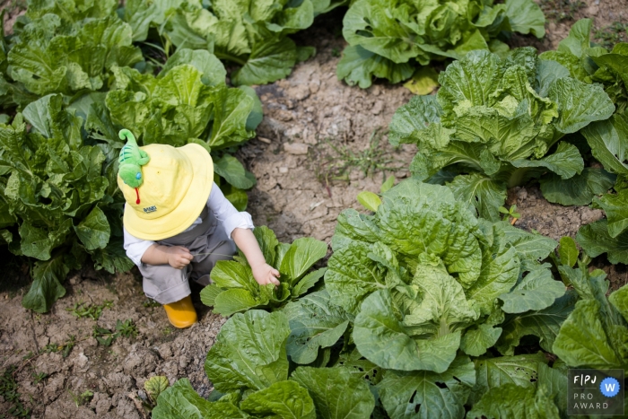 Hangzhou City garden documentary-style family photo shoot of a young boy in the vegetable field in China