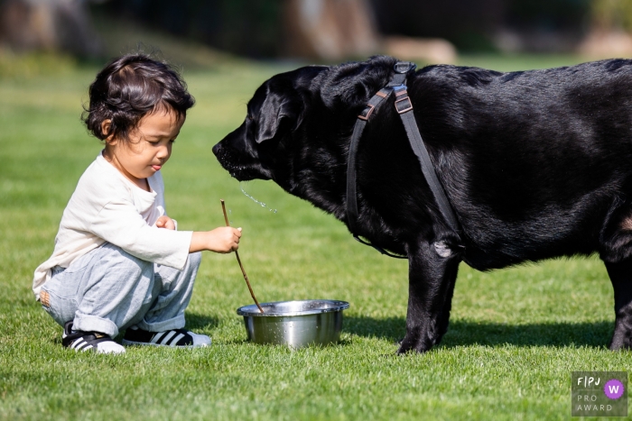Hangzhou City at home Day in the Life photography of a Boy and drooling dog Hangzhou City at home Day in the Life photography of a Boy and drooling dog