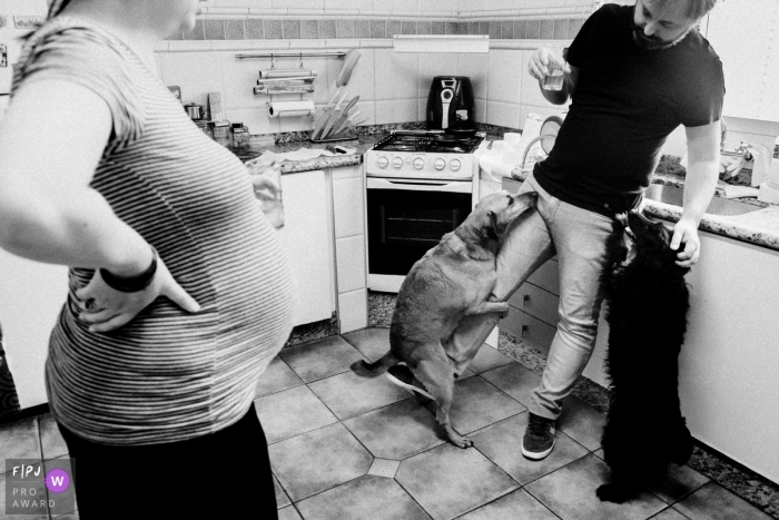 Day in the Life photography session at home in Sao Paulo with the dogs in the kitchen