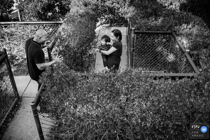 San Francisco, California Day in the Life Session of documentary family photography of a family playing in a maze