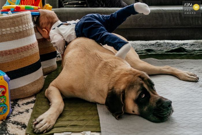 Photo by: <a href="https://www.fpja.com/documentary-family-photography-contests/sherry-tong/chicago/2112136">Sherry Tong - United States</a> Moment driven Chicago family photojournalism image of a toddler falling over a dog laying on the floor