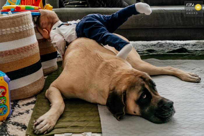 Moment driven Chicago family photojournalism image of a toddler falling over a dog laying on the floor