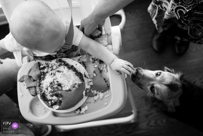 Moment driven Atlanta family photojournalism image of a boy feeding his dog cake Moment driven Atlanta family photojournalism image of a boy feeding his dog cake