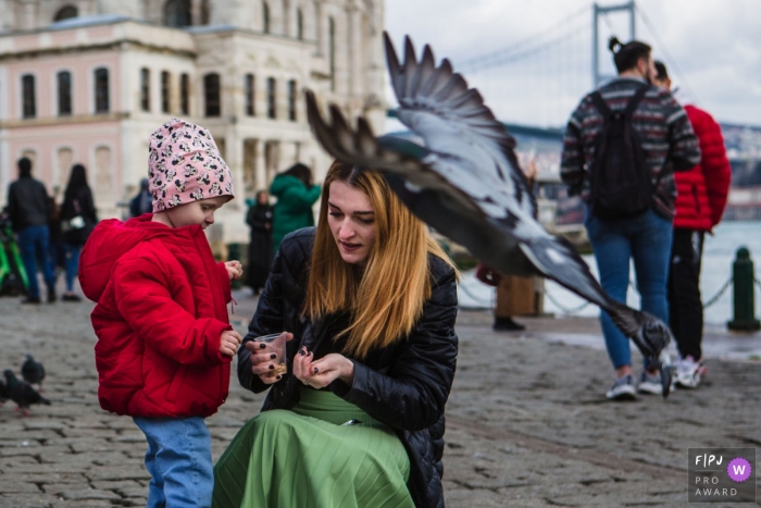 Moment driven Istanbul family photojournalism image of a family on a trip to town with the pigeons Moment driven Istanbul family photojournalism image of a family on a trip to town with the pigeons
