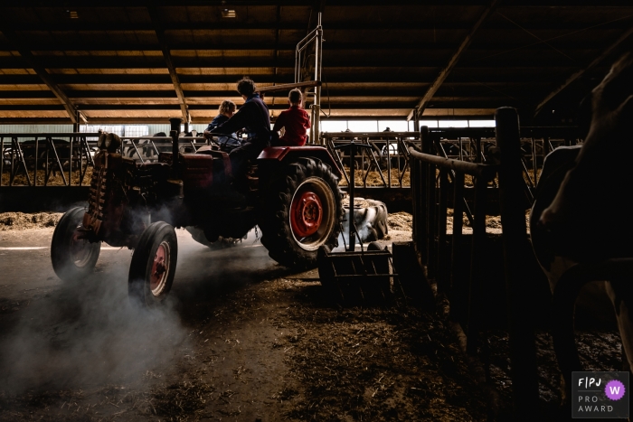 Groningen family photojournalism image of kids helping dad feeding the cows on a tractor Moment driven Groningen family photojournalism image of kids helping dad feeding the cows on a tractor