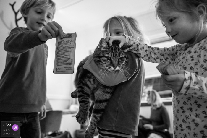 Moment driven Gelderland family photojournalism image of three children with their cat Moment driven Gelderland family photojournalism image of three children with their cat