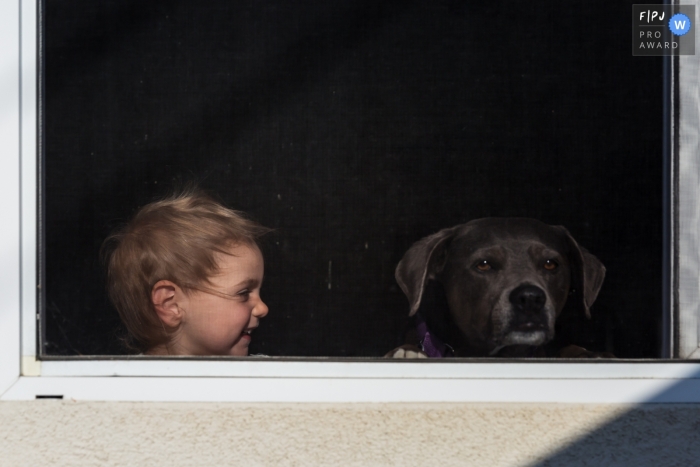 Moment driven Ventura family photojournalism image of a girl and dog at the window Moment driven Ventura family photojournalism image of a girl and dog at the window