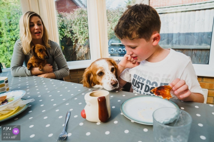 Norfolk Day in the Life Foto zur Frühstückszeit mit dem Hund, der über den Tisch schaut, um das Essen zu sehen?