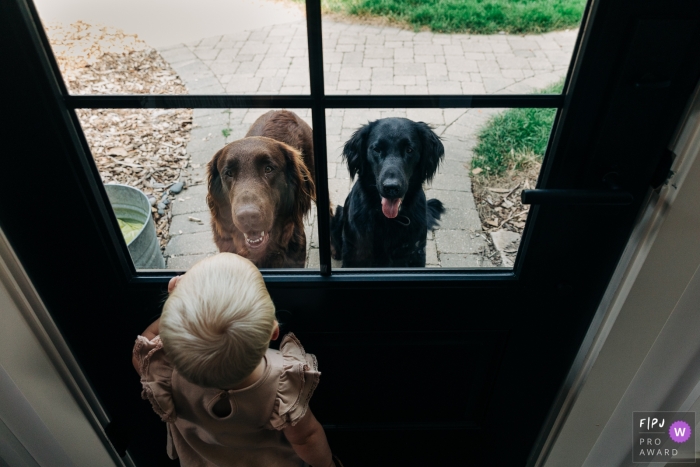 Madison, WI family image of a girl looking out a window at two dogs looking in Madison, WI family image of a girl looking out a window at two dogs looking in