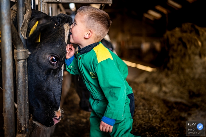 Zuid Holland day in the life photographie d'un jeune homme chuchotant à une vache