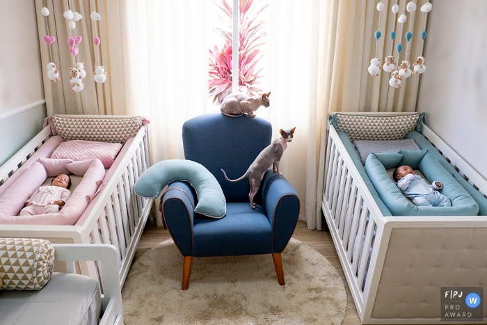 Sao Paulo at-home family shoot of twins sleeping in a bedroom with the cats Sao Paulo at-home family shoot of twins sleeping in a bedroom with the cats