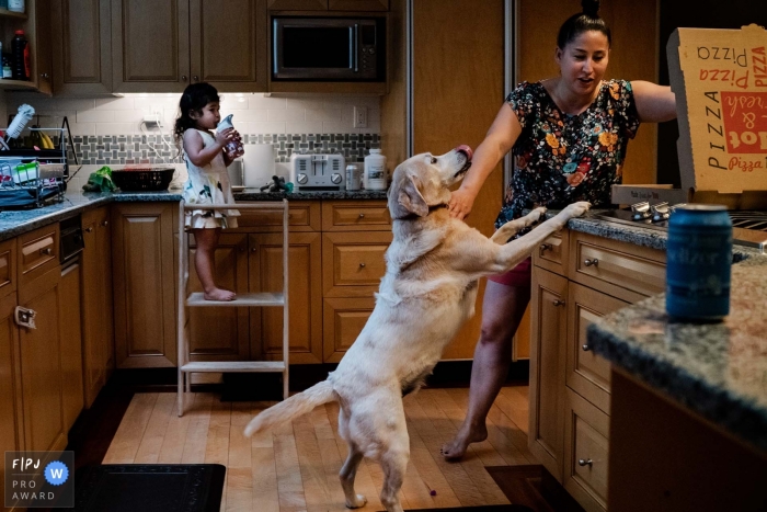 Photo by: <a href="https://www.fpja.com/documentary-family-photography-contests/danielle-macinnes/new-hampshire/2115344">Danielle MacInnes - United States</a> A New Hampshire documentary family photographer recorded a yellow lab dog jumping on counter to try and steal pizza while mom pushes him back and young daughter stands on stool in background drinking water bottle