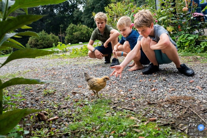 Photo by: <a href="https://www.fpja.com/documentary-family-photography-contests/ruth-wytinck/east-flanders/2115558">Ruth Wytinck - Belgium</a> A Flanders, Belgium family photographer documented this day in the life image of boys playing with a young chicken