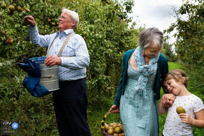 Photo by: <a href="https://www.fpja.com/documentary-family-photography-contests/ruth-wytinck/east-flanders/2115565">Ruth Wytinck - Belgium</a> East Flanders documentary family photography showing grandparents and granddaughter picking pears in an orchard