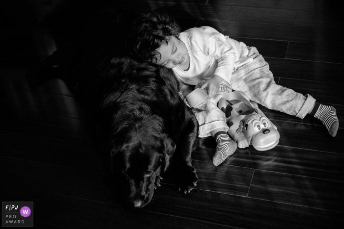 Photographie de famille documentaire de la ville de Hangzhou d'un garçon chien et d'un téléphone pour chien