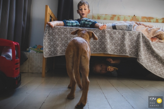 Vilnius, Litauen dokumentarische Familienfotografie, die einen Hund zeigt, der morgens auf einen Jungen im Bett zugeht