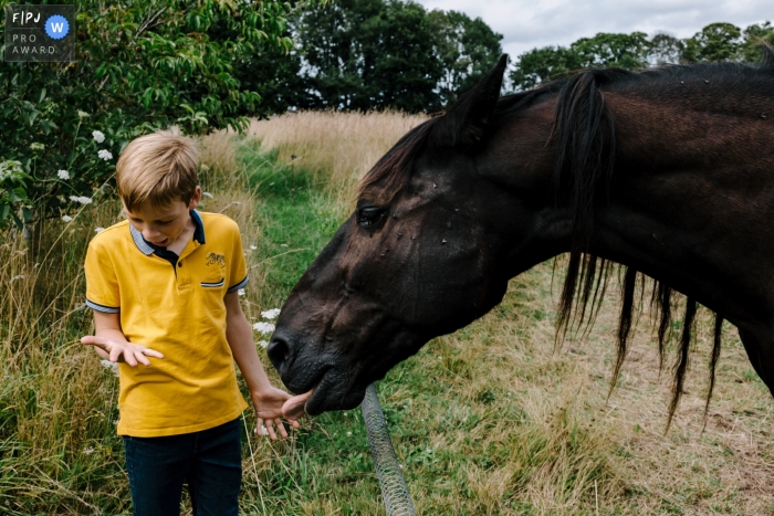 Awarded documentary family picture from Paris of a child and a horse